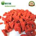 Tianshan Mountain Xinjiang Goji Dried Goji Berries Goji Berry